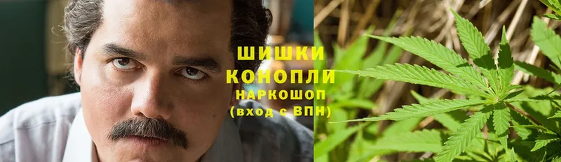 Конопля Bruce Banner  Катайск 